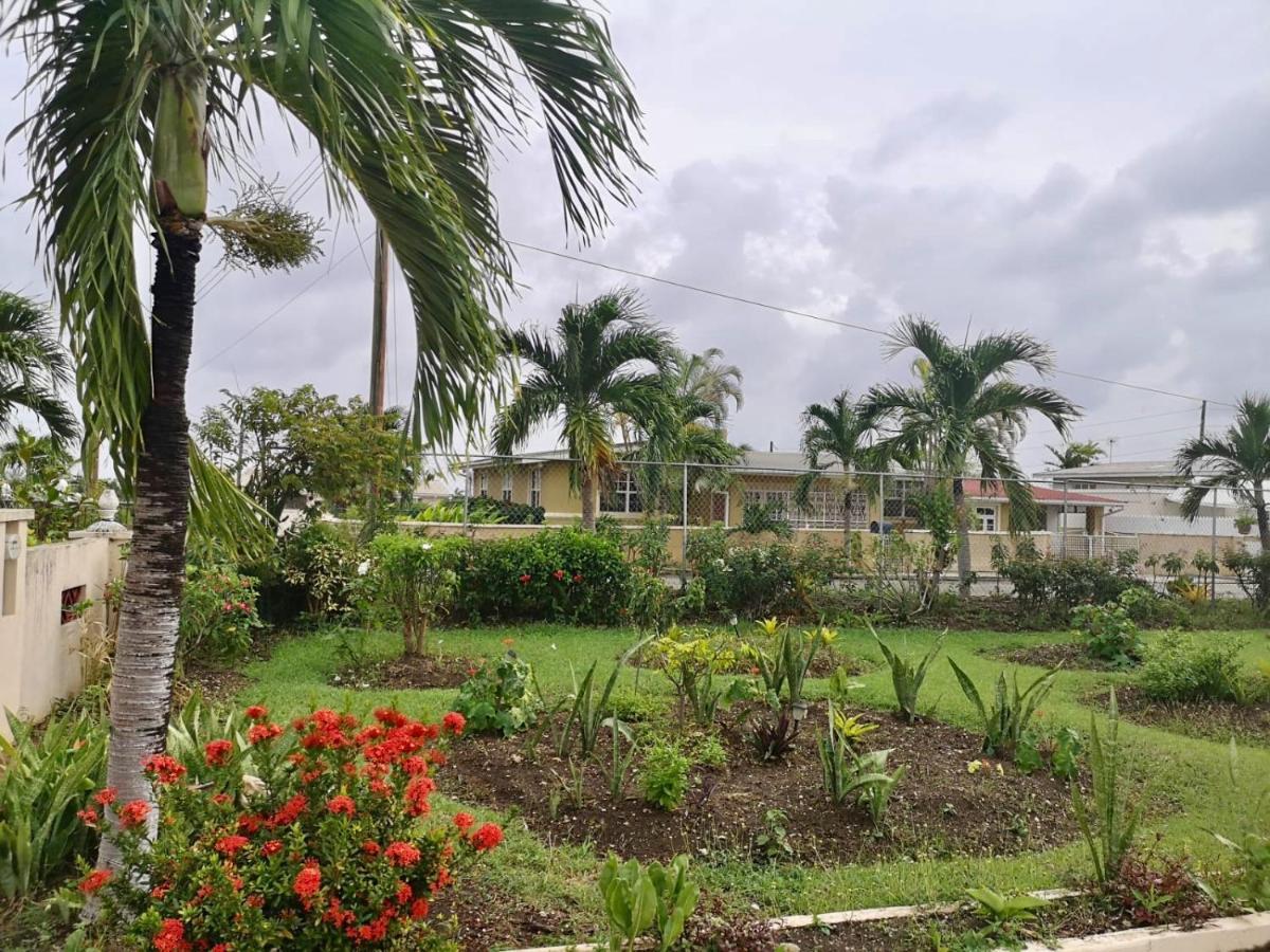Ventnor House Apartments Bridgetown Exterior foto
